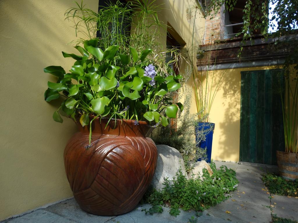 Agriturismo Casa De Colores Moretta Luaran gambar