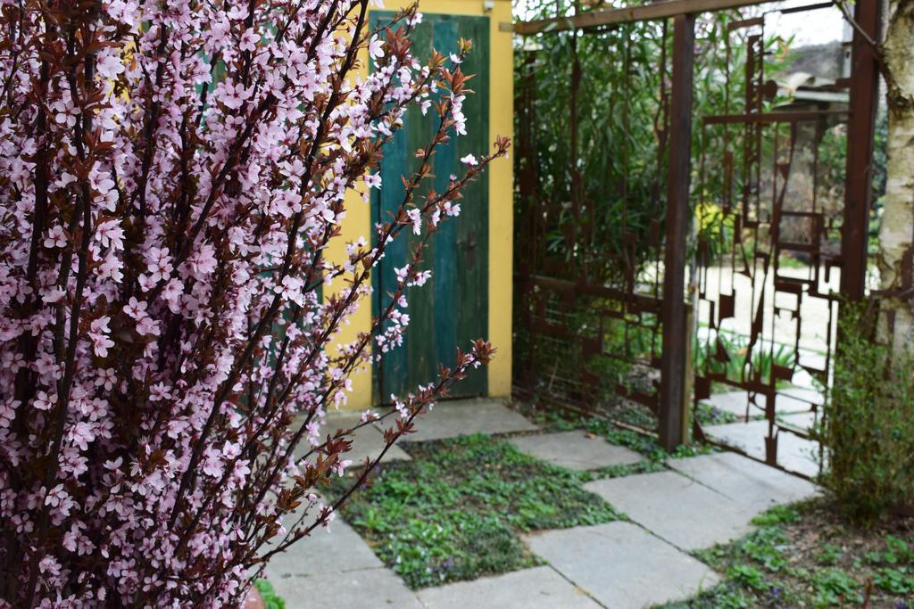 Agriturismo Casa De Colores Moretta Luaran gambar